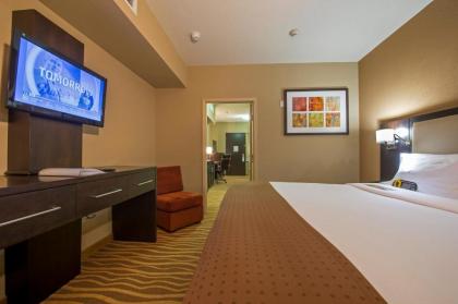 Holiday Inn Hotel Houston Westchase an IHG Hotel - image 3