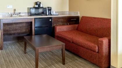 Holiday Inn Express & Suites Houston South - Near Pearland an IHG Hotel - image 11