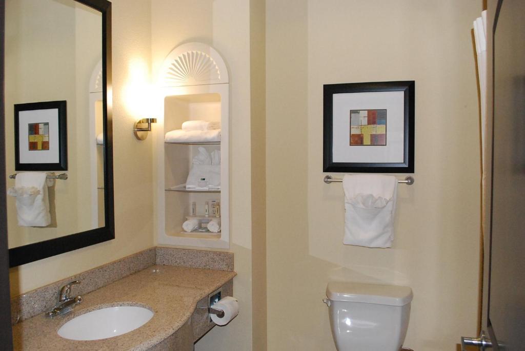 Holiday Inn Express & Suites Houston South - Near Pearland an IHG Hotel - image 7