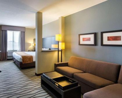 Comfort Suites near Westchase on Beltway 8 - image 17