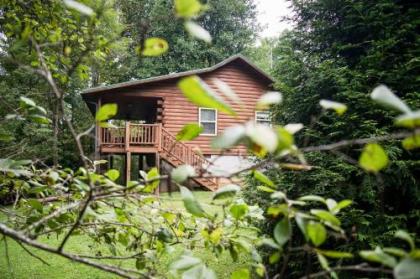 Fox Creek Waterside Cabin with Private Hot Tub!