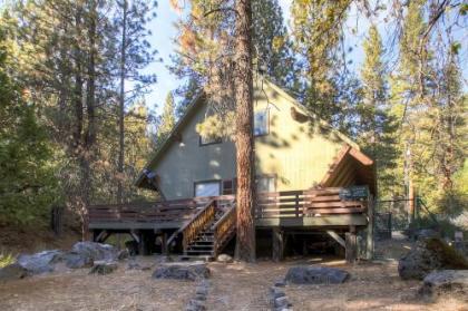 Yosemite Creekside Birdhouse