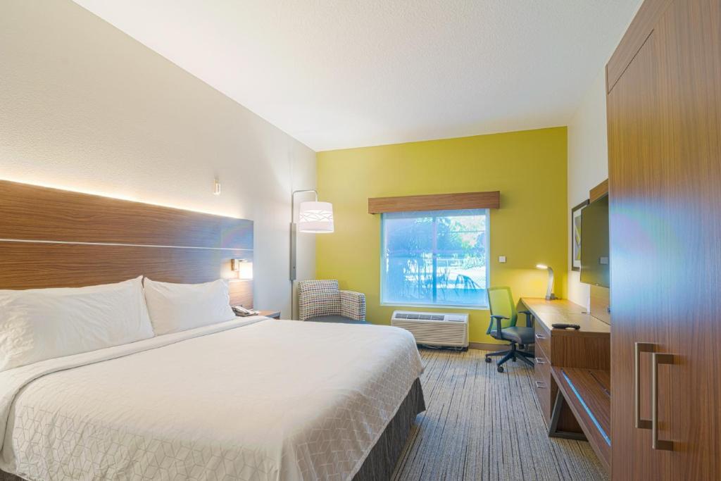 Holiday Inn Express Hotel & Suites Tampa-USF-Busch Gardens an IHG Hotel - image 4