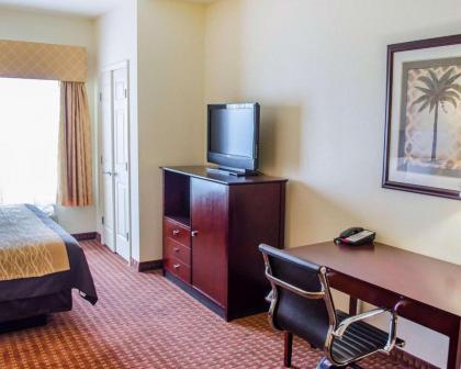 Comfort Inn & Suites Crestview - image 3