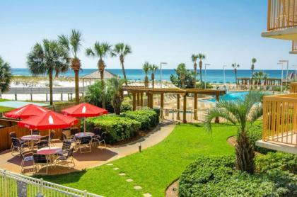 Pelican Beach Resort Condos - image 4