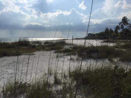 Sandy Beach - image 5