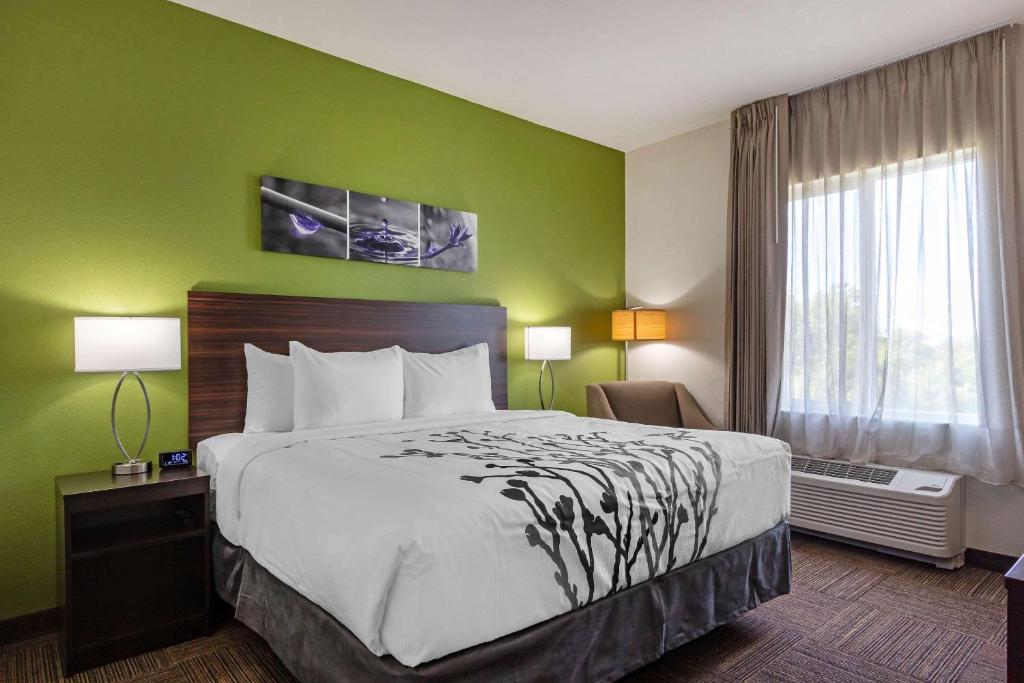 Sleep Inn & Suites Tampa South - image 4