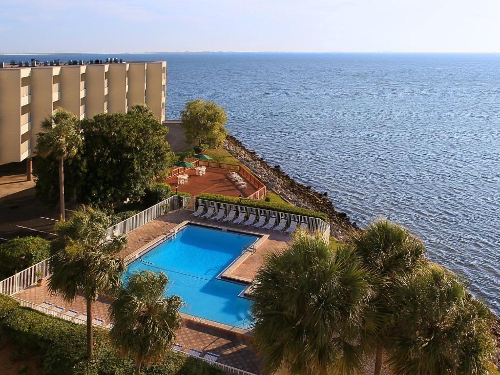 Apartment Tampa Waterfront-5 - image 4