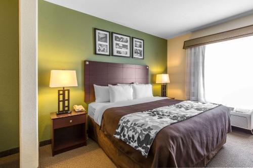 Sleep Inn & Suites Bush Intercontinental - IAH East - image 2