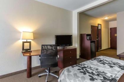 Sleep Inn & Suites Bush Intercontinental - IAH East - image 4