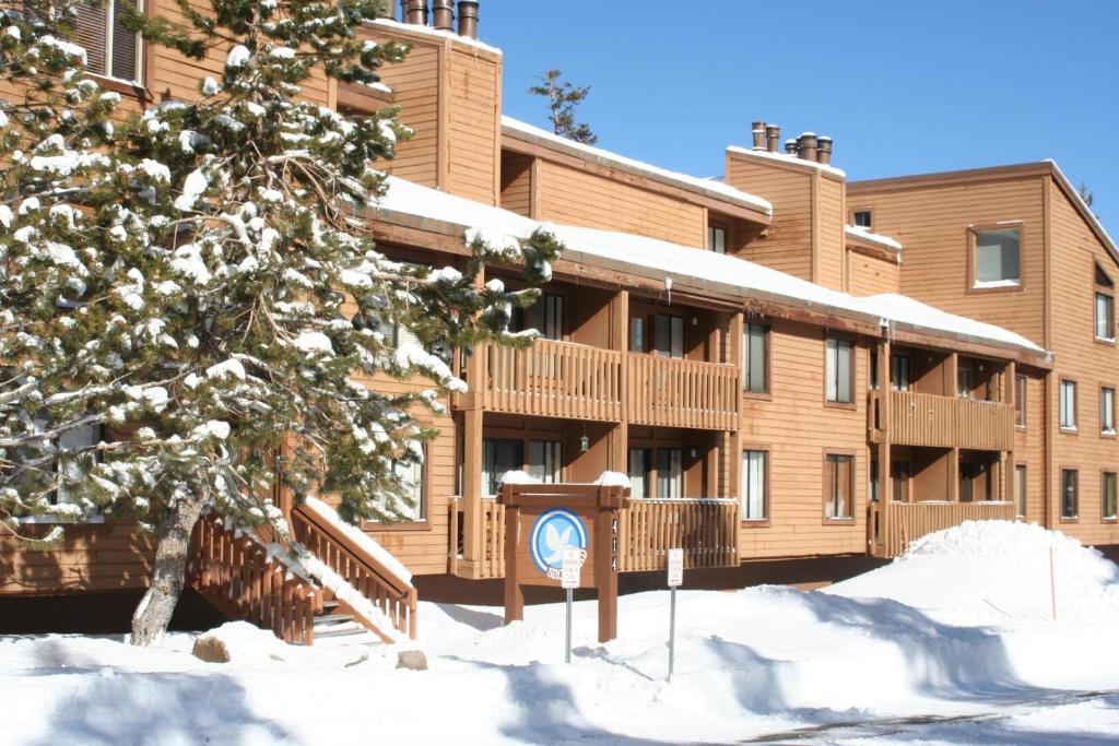 One Bedrooms At Snowbird Condos Slopeside - Free Wifi & Assigned Parking! - main image