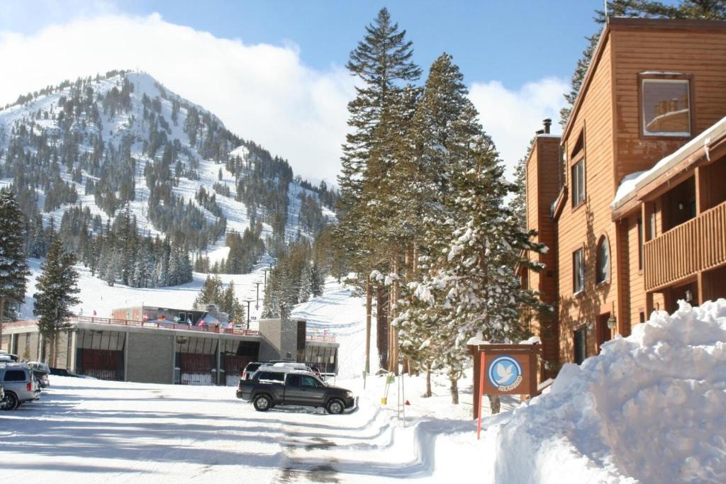 One Bedrooms At Snowbird Condos Slopeside - Free Wifi & Assigned Parking! - image 3