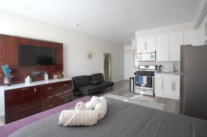 Luxurious Furnished Studio w Full Kitchen in SD - image 1