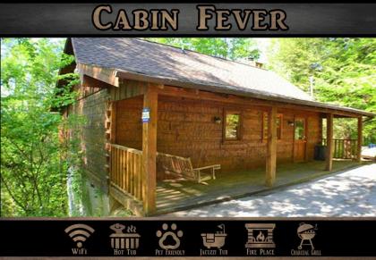 Cabin Fever - image 1