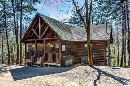 Bear Haven #297 by Aunt Bug's Cabin Rentals in Pigeon Forge